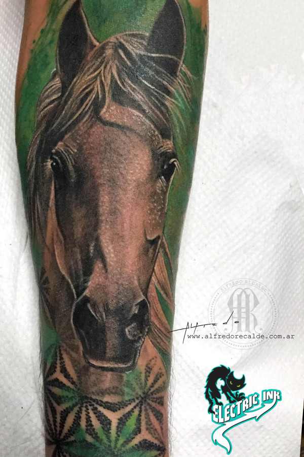caballo