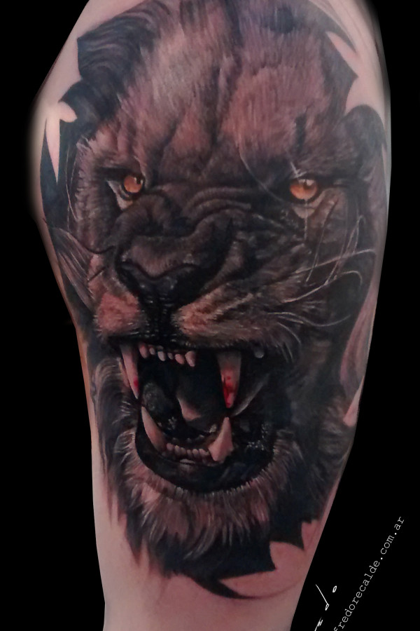 leon tigre 2015