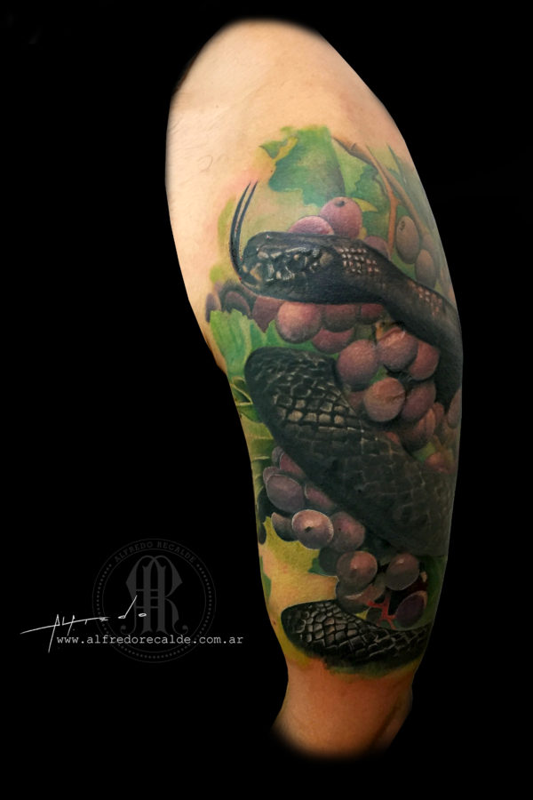 mamba negra