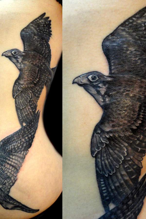 pajaros