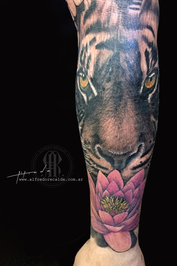 tiger in progress
